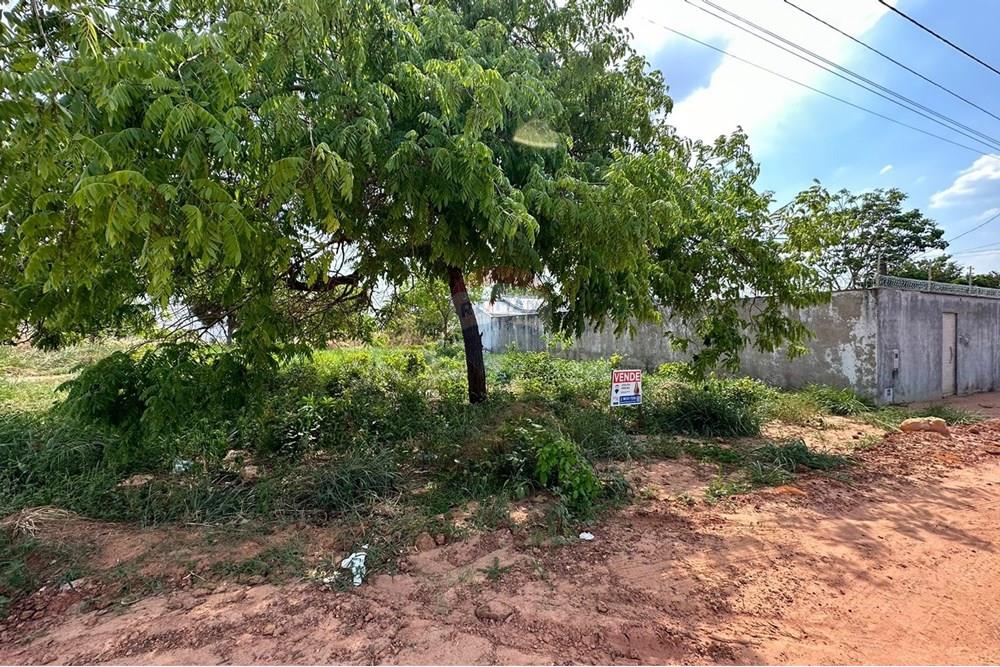 Terreno - Venda - Araguaína , Tocantins - WhatsApp Image 2025-10-29 at 16.47.28 (1).jpeg - 720991005-88