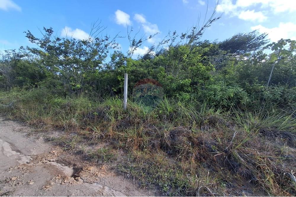 Terreno - Venda - Pitimbu , Paraíba - 87417e12-2889-4e59-b7b4-1351e53841d3.jpg - 720871044-61