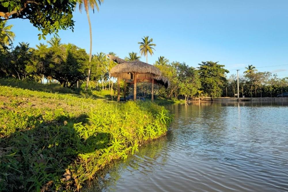 Terreno - Venda - Trairi , Ceará - 1000290827.jpg - 722341005-30