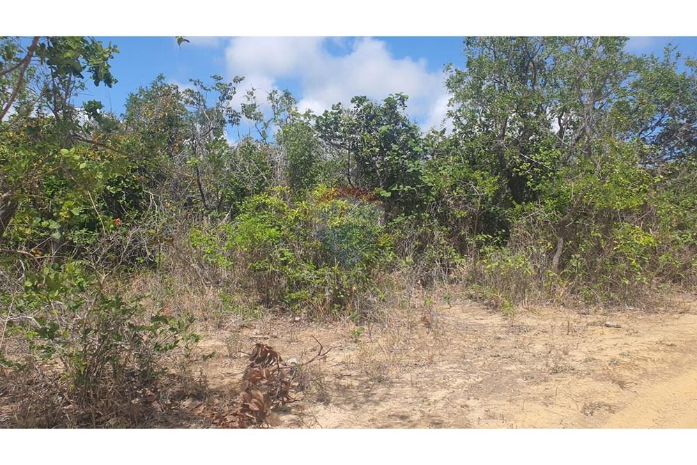 Terreno - Venda - Conde , Paraíba - 20251227_095505.jpg - 720471019-138