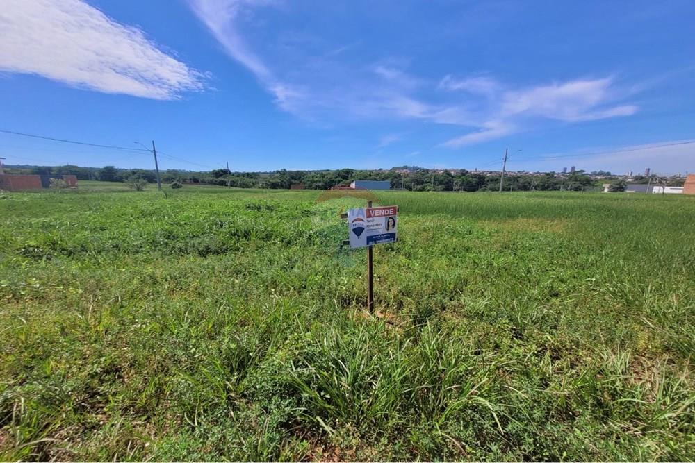 Terreno - Venda - Rondonópolis , Mato Grosso - WhatsApp Image 2026-01-31 at 20.45.47.jpeg - 720771042-57