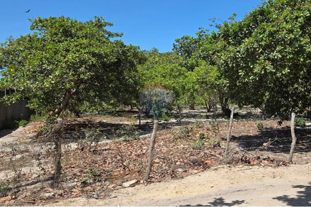 Terreno - Venda - Cruz , Ceará - 1000234200.jpg - 722341001-112