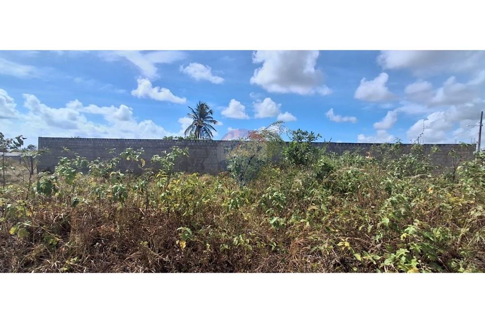 Terreno - Venda - Conde , Paraíba - Imagem do WhatsApp de 2025-12-01 à(s) 09.26.37_42ed44d4.jpg - 720871029-82