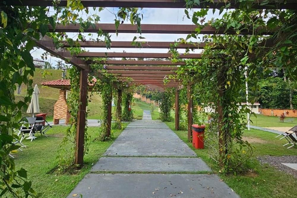 Casa - Venda - Manaus , Amazonas - passaros7.jpeg - 720401084-16