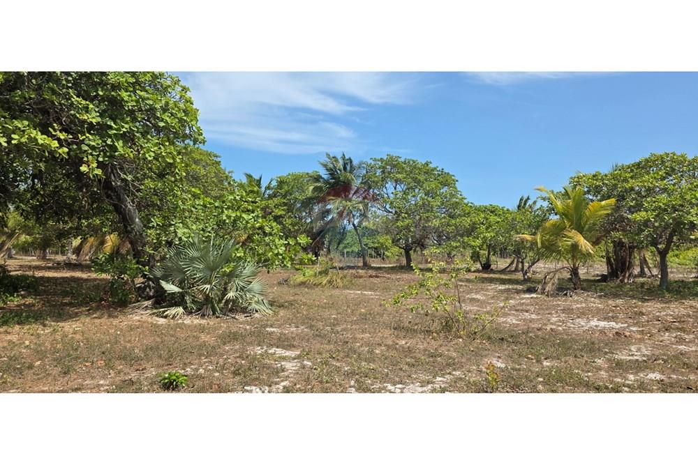 Terreno - Venda - Acaraú , Ceará - 1000304678.jpg - 722341001-114