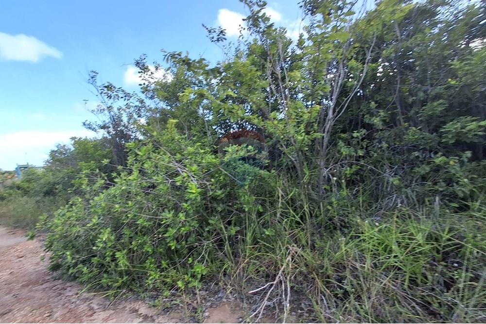 Terreno - Venda - Pitimbu , Paraíba - 823d27fa-84d1-437d-aa5d-89b18f0db9ae (1).jpg - 720871044-61