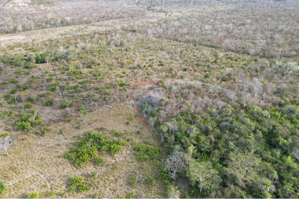 Agro - Venda - Barra do Ouro , Tocantins - WhatsApp Image 2025-08-28 at 17.47.51.jpeg - 720991010-77