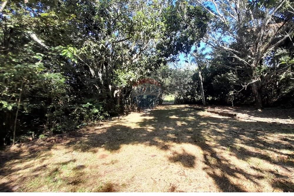 Chácara / Sítio / Fazenda - Venda - Porto Velho , Rondônia - Imagem do WhatsApp de 2025-05-21 à(s) 09.26.09_830cfb2b.jpg - 721551046-37