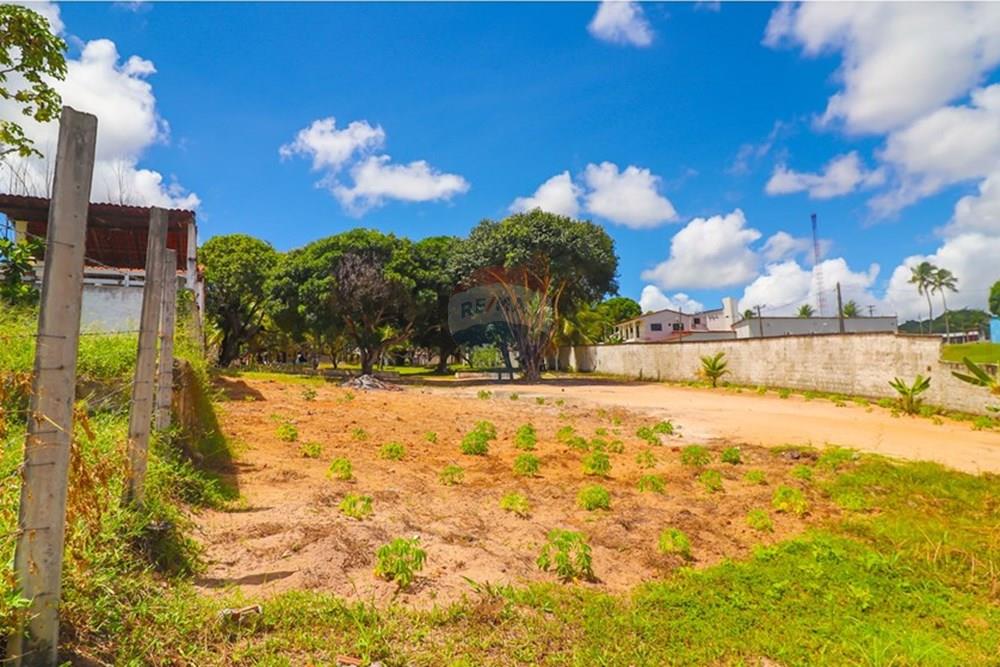 Casa - Venda - Nísia Floresta , Rio Grande do Norte - IMG_5807.jpg - 720891278-1