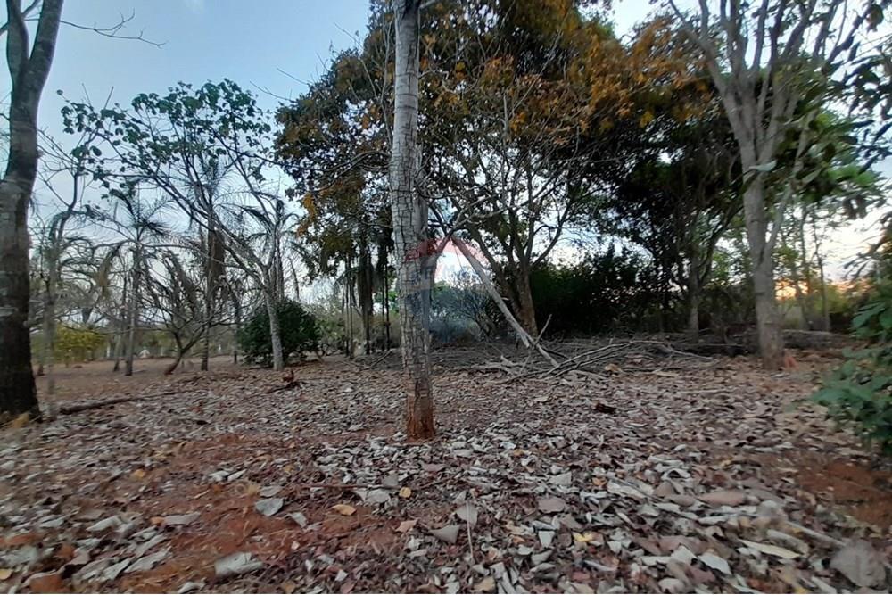 Chácara / Sítio / Fazenda - Venda - Goiânia , Goiás - WhatsApp Image 2025-10-31 at 16.47.38.jpeg - 722271015-38