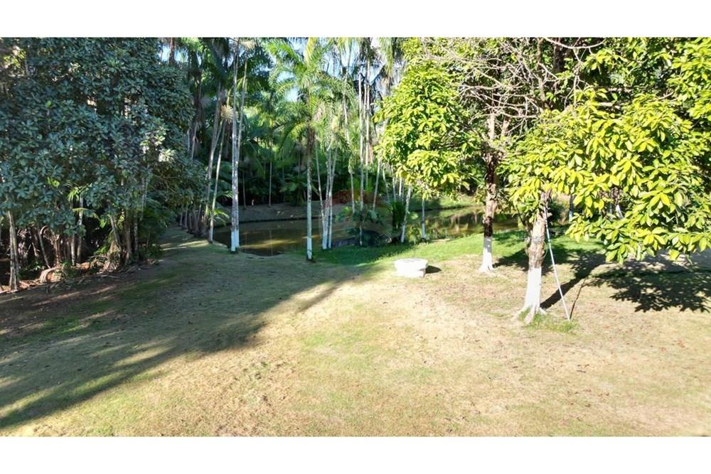 Résidentiel - Ferme - Nova Brasilândia D'Oeste , Rondônia - BR - WhatsApp Image 2025-10-07 at 17.32.39 (1).jpeg - 722311004-22