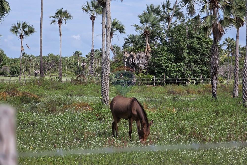Terreno - Venda - Acaraú , Ceará - 1000542817.jpg - 722341001-188