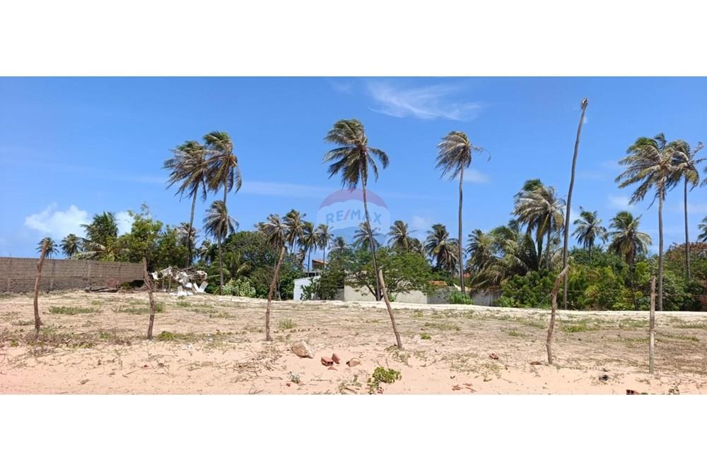 Terreno - Venda - Trairi , Ceará - WhatsApp Image 2026-01-16 at 14.42.50 (2).jpeg - 722341005-41