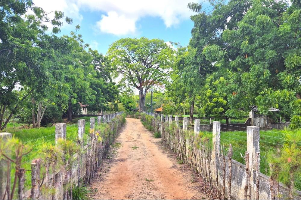 Chácara / Sítio / Fazenda - Venda - Conde , Paraíba - 20250103_152531.jpg - 722011055-33