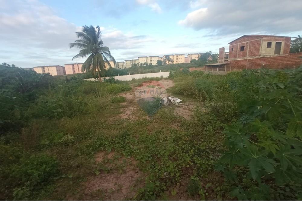 Terreno - Venda - Parnamirim , Rio Grande do Norte - WhatsApp Image 2025-08-04 at 09.58.58 (5).jpeg - 720731005-133