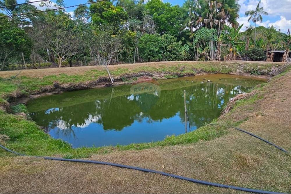 Chácara / Sítio / Fazenda - Venda - Araguaína , Tocantins - WhatsApp Image 2025-08-07 at 15.19.00 (1).jpeg - 722171030-16