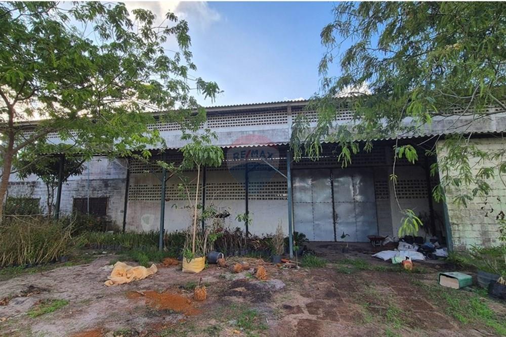 Galpão - Alugar - Pedras de Fogo , Paraíba - 20241220_162044.jpg - 722011055-40