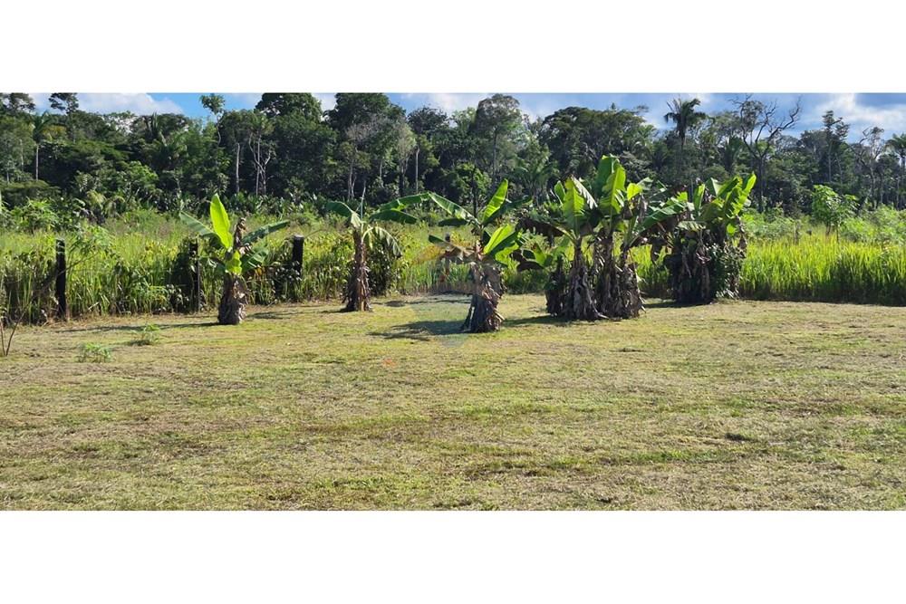 Dzīvojamais - Lauku saimniecība - Porto Velho , Rondônia - BR - LEO4.jpg - 721551019-217