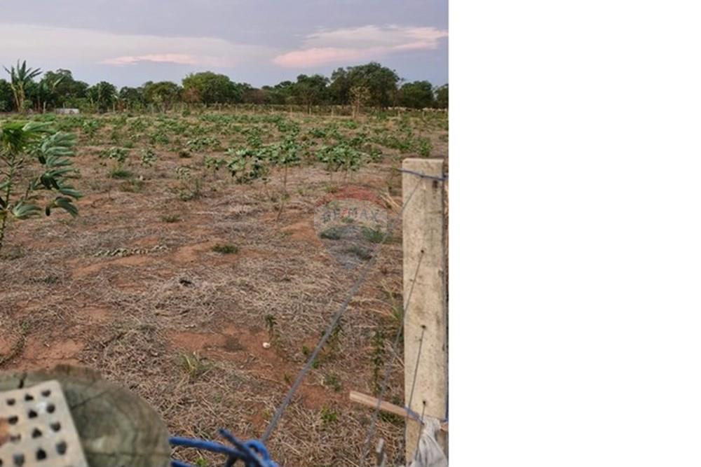 Chácara / Sítio / Fazenda - Venda - Rondonópolis , Mato Grosso - IMG-20251027-WA0029.jpg - 721981068-22