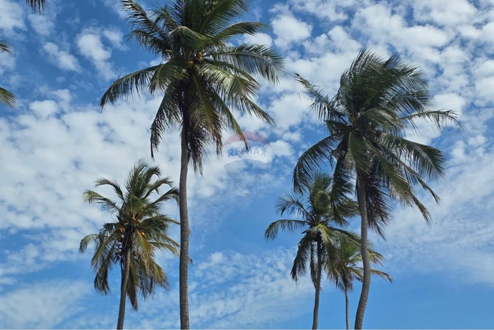 Terreno - Venda - Acaraú , Ceará - 1000542815.jpg - 722341001-188