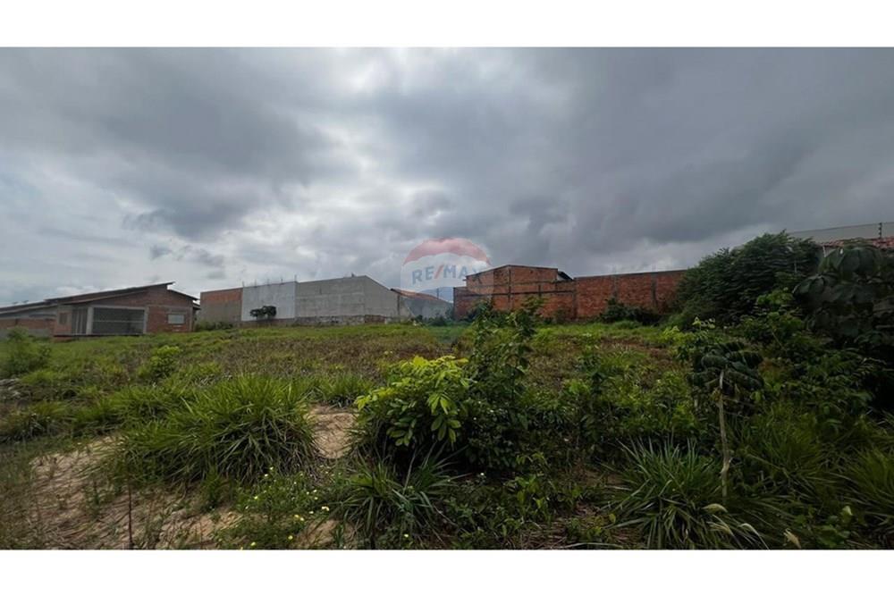 Terreno - Venda - Araguaína , Tocantins - WhatsApp Image 2025-11-17 at 15.29.53.jpeg - 720991032-40
