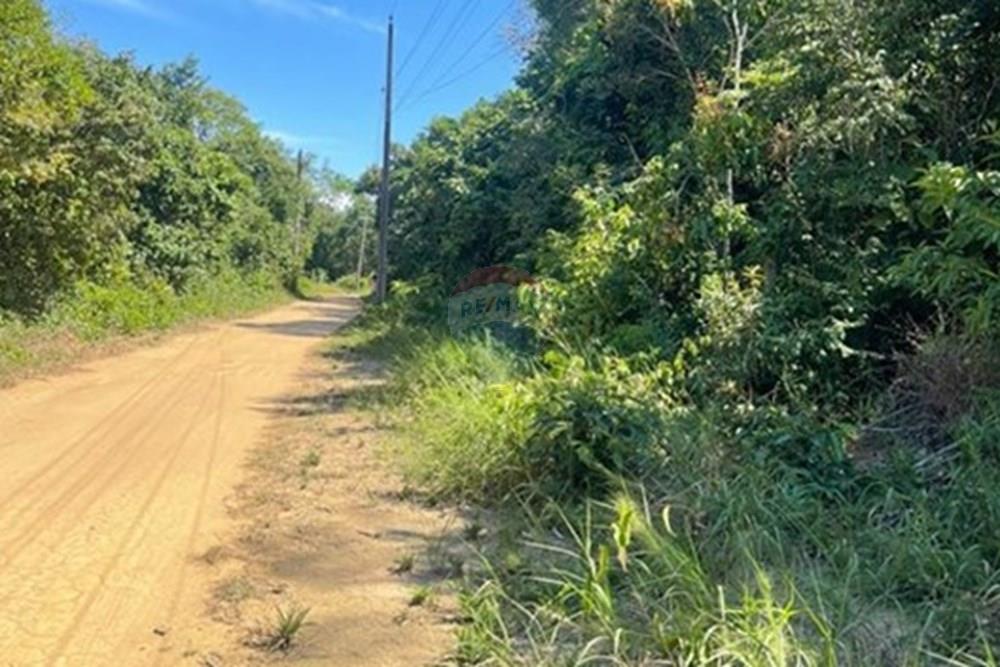 Terreno - Venda - Iranduba , Amazonas - sitio iranduba.jpg - 720401044-32