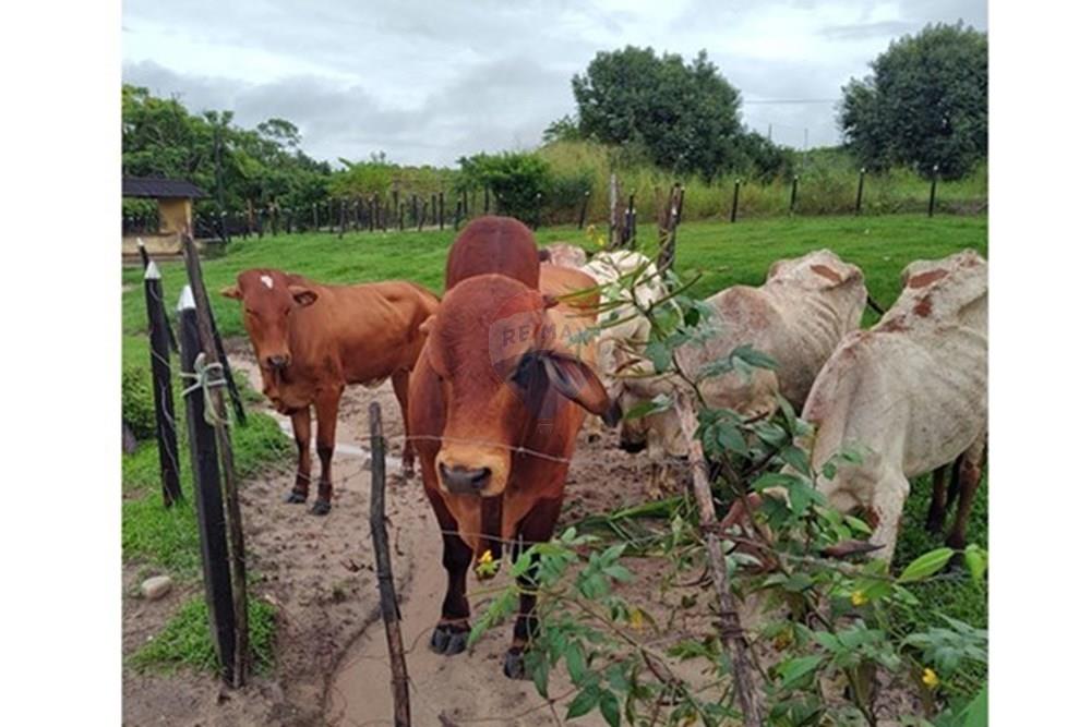 Residential - Rivitalo - Conde , Paraíba - BR - WhatsApp Image 2025-05-30 at 09.14.45 (2).jpeg - 720871050-34