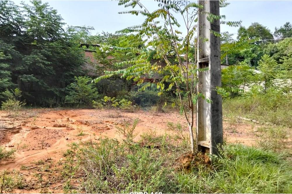 Terreno - Venda - Manaus , Amazonas - WhatsApp Image 2025-09-08 at 15.32.18.jpeg - 722101006-27