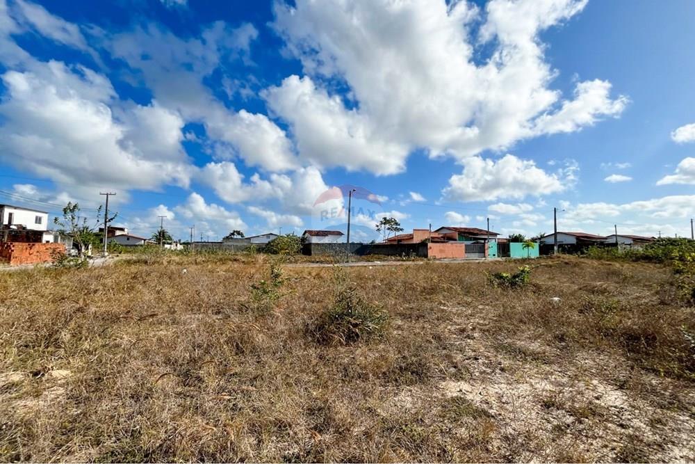 Terreno - Venda - São José de Mipibu , Rio Grande do Norte - 7c2581ed-7673-4962-a756-d22d8517ee2a.jpg - 720811011-106