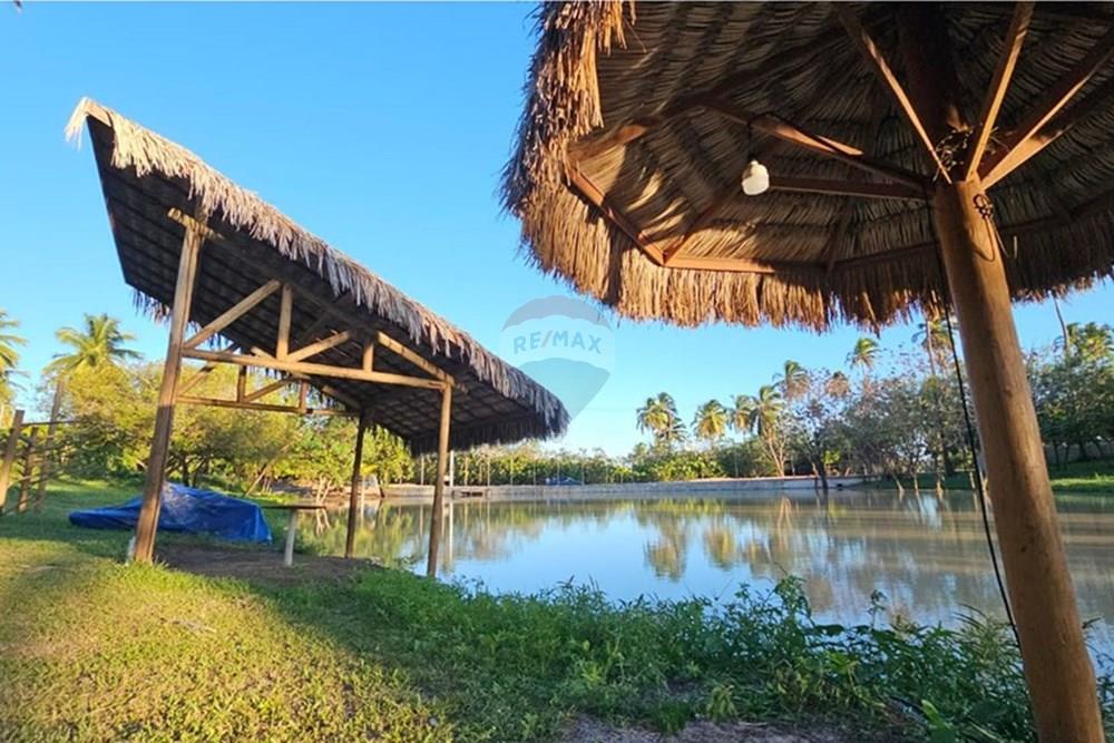 Terreno - Venda - Trairi , Ceará - 1000290729.jpg - 722341005-30