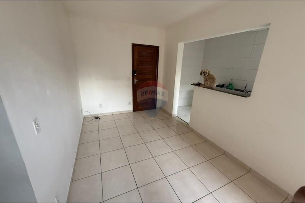 Apartamento - Alugar - Belém , Pará - q.jpeg - 720921187-5