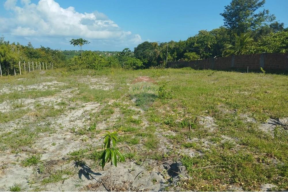 Chácara / Sítio / Fazenda - Venda - Conde , Paraíba - d62aae1f-4d2d-49a2-b7bb-a4eb46a6e3fe.jpg - 720871015-134