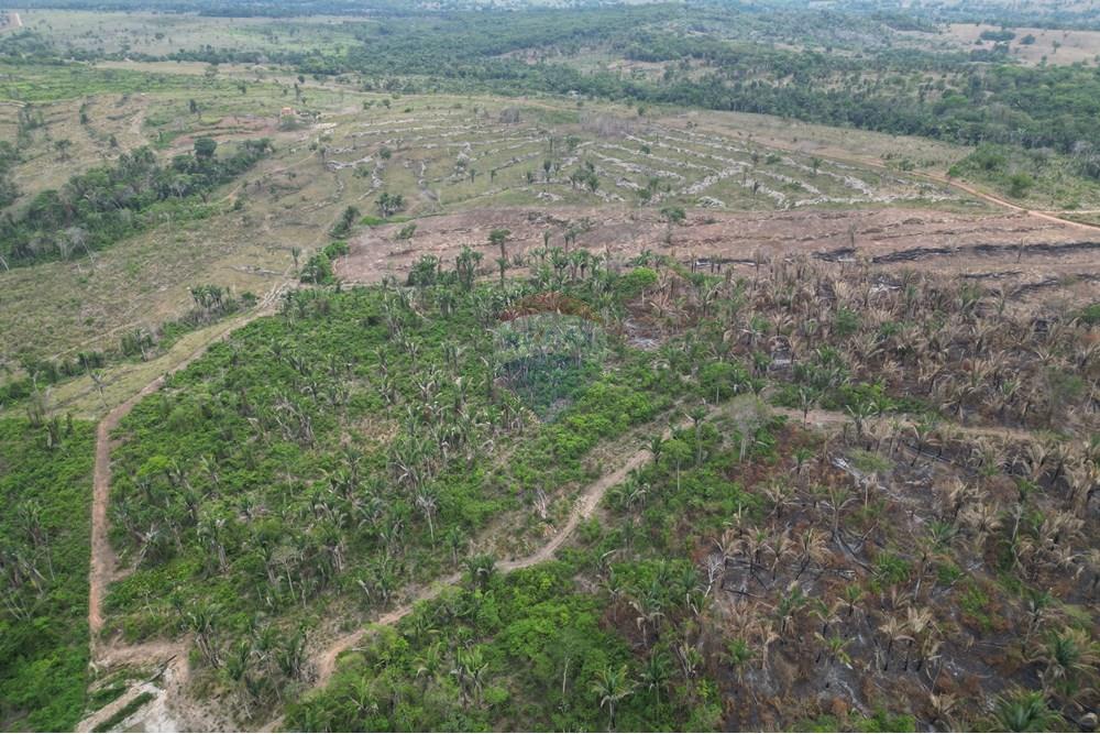 Chácara / Sítio / Fazenda - Venda - Araguaína , Tocantins - DJI_0045.JPG - 720991045-15