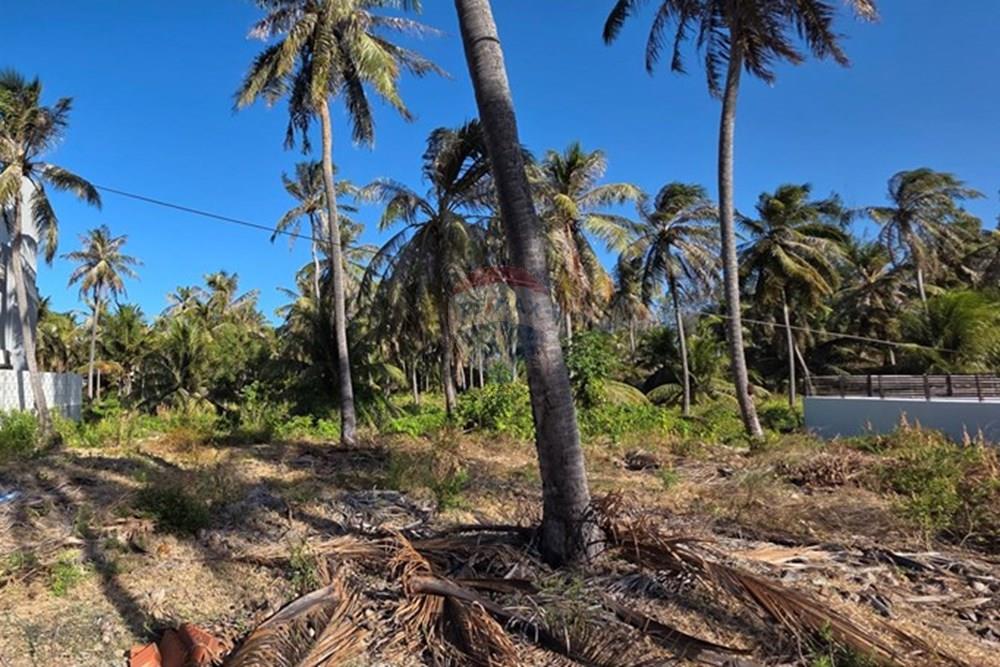Terreno - Venda - Trairi , Ceará - 1000189518.jpg - 722341001-103