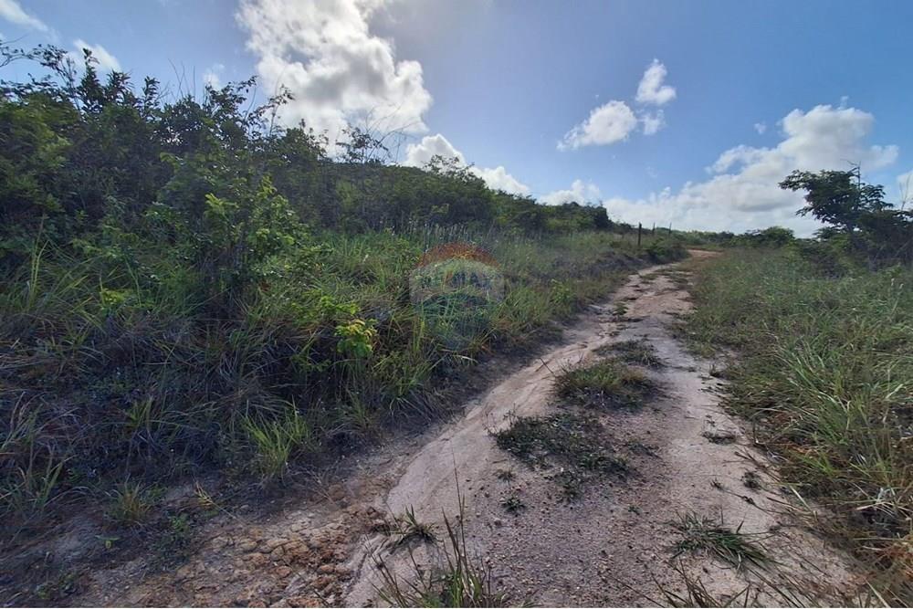 Terreno - Venda - Pitimbu , Paraíba - 6cb8945d-3994-48e7-99d2-49f5adeaba50.jpeg - 720871044-79