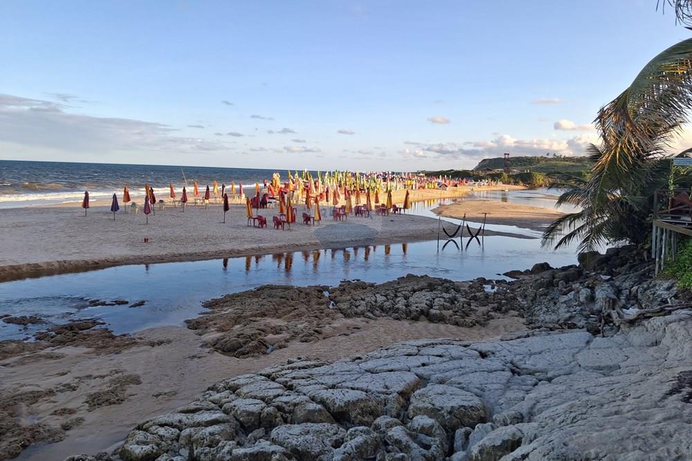 Terreno - Venda - Pitimbu , Paraíba - 20260310_165733.jpg.jpeg - 720871044-118