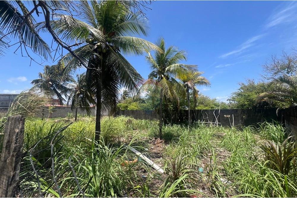 Casa - Venda - Natal , Rio Grande do Norte - WhatsApp Image 2025-12-09 at 14.41.33 (3).jpeg - 720731004-474