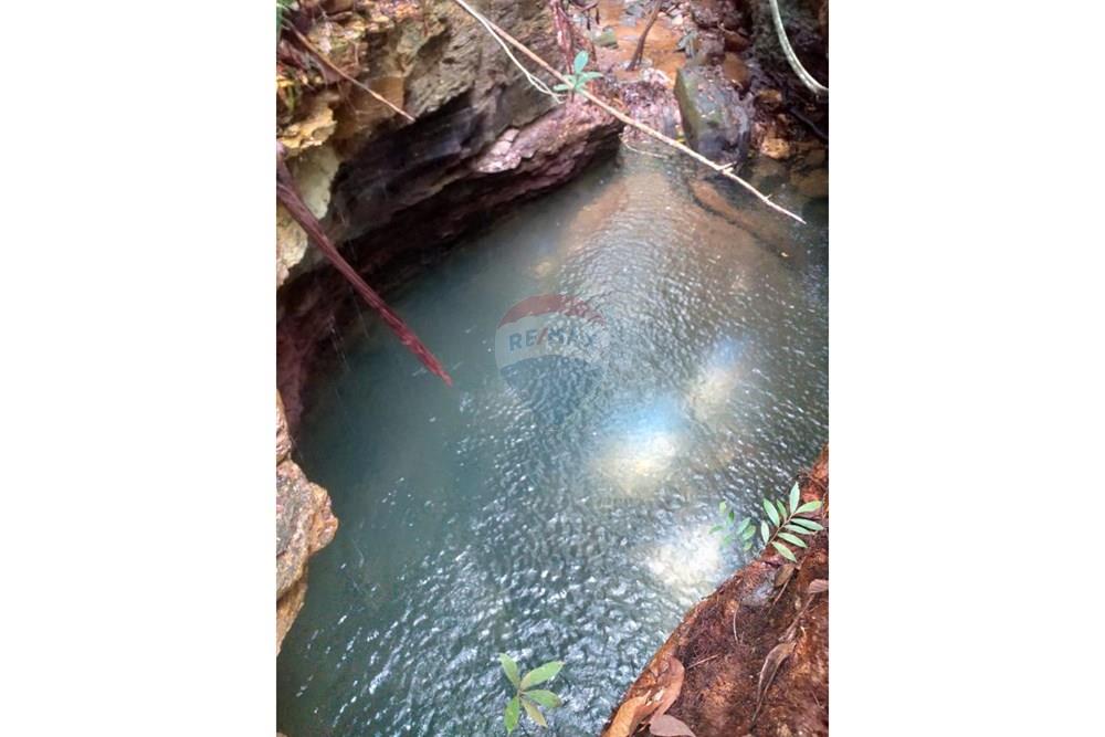 Chácara / Sítio / Fazenda - Venda - Juscimeira , Mato Grosso - WhatsApp Image 2026-03-05 at 10.16.28.jpeg - 721981071-17