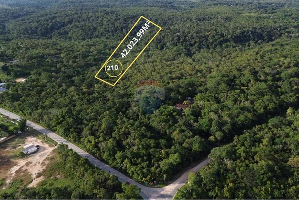 Terreno - Venda - Manaus , Amazonas - Imagem do WhatsApp de 2025-12-18 à(s) 17.14.02_dc3800c5.jpg - 720721007-235