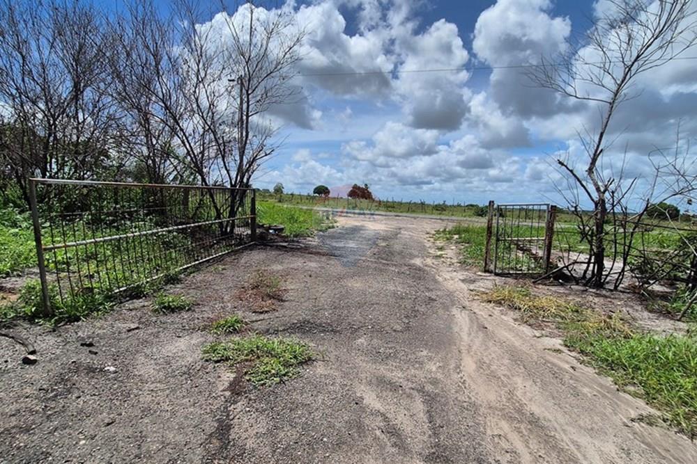 Galpão - Alugar - Pedras de Fogo , Paraíba - 20250207_102927.jpg - 722011055-40