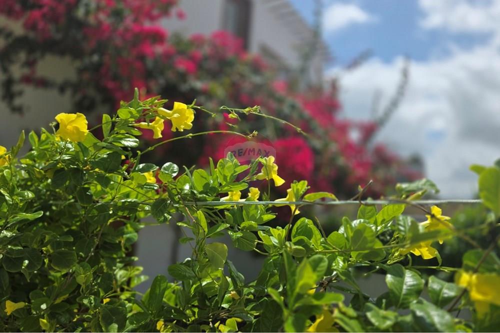 Casa - Venda - Cruz , Ceará - 1000429818.jpg - 722341001-159