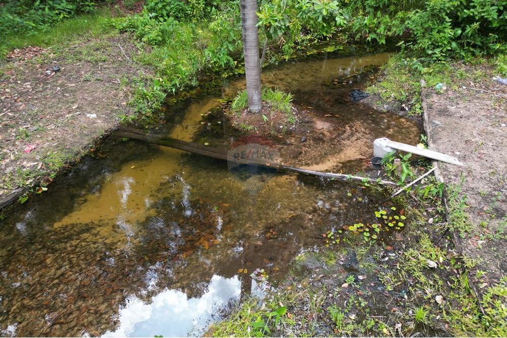 Chácara / Sítio / Fazenda - Venda - Babaçulândia , Tocantins - DJI_0106.JPG - 720991008-82