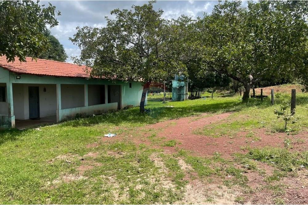 Chácara / Sítio / Fazenda - Venda - Araguaína , Tocantins - WhatsApp Image 2025-07-10 at 9.52.07 AM (1).jpeg - 722171061-11