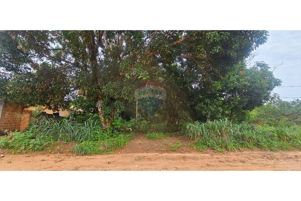 Terreno - Venda - Araguaína , Tocantins - WhatsApp Image 2026-01-14 at 09.31.16 (1).jpeg - 722171030-21
