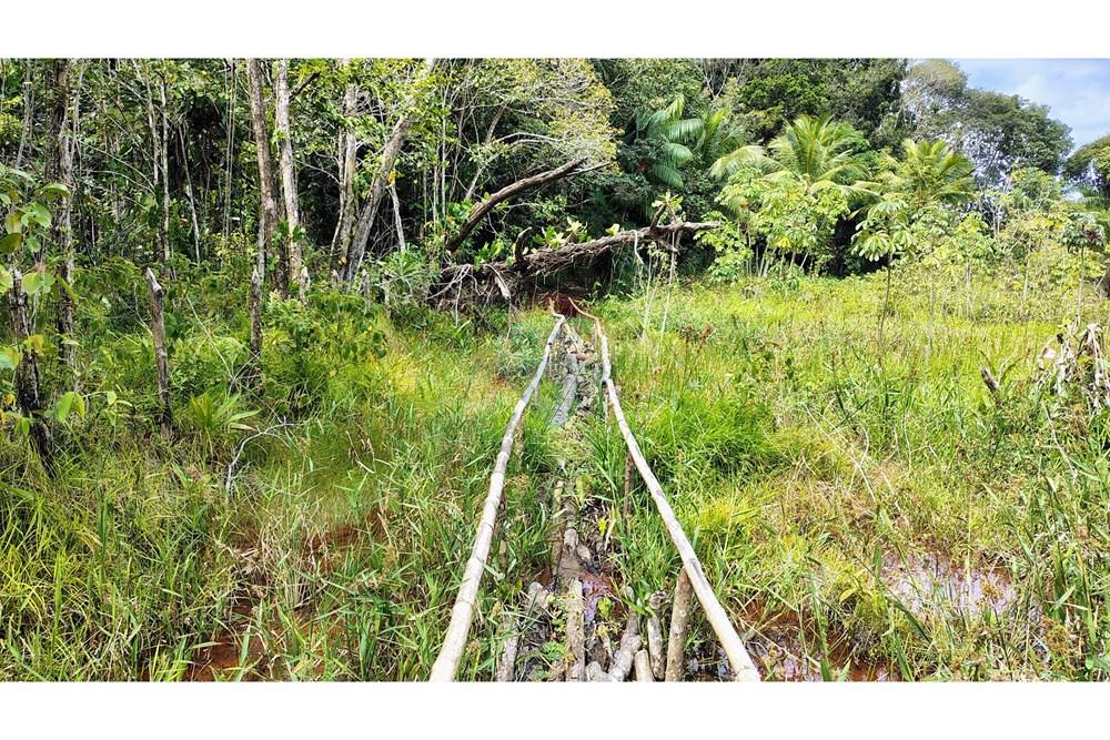 Chácara / Sítio / Fazenda - Venda - Conde , Paraíba - IMG_20251012_125719288_HDR_AE.jpg - 720871055-28