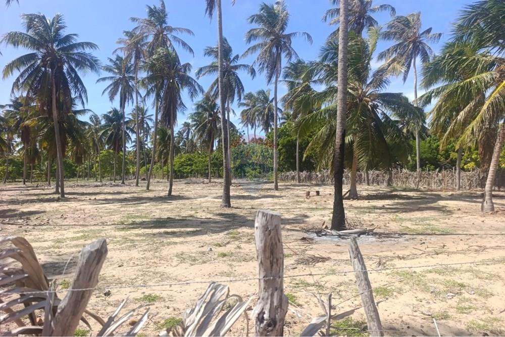 Terreno - Venda - Trairi , Ceará - WhatsApp Image 2026-01-28 at 14.05.43.jpeg - 722341005-47