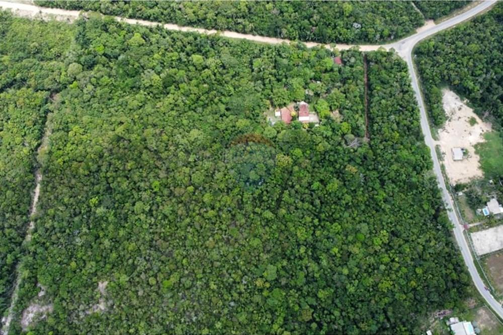 Terreno - Venda - Manaus , Amazonas - IMG-20251021-WA0177.jpg - 720721007-235