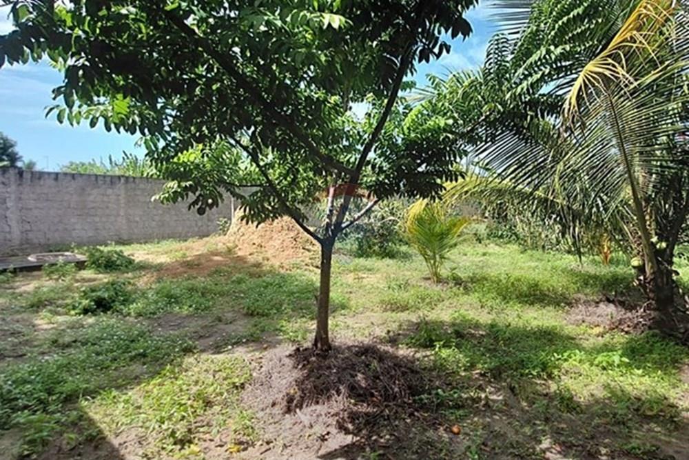 Terreno - Venda - Conde , Paraíba - IMG-20250619-WA0294.jpg - 720871031-86