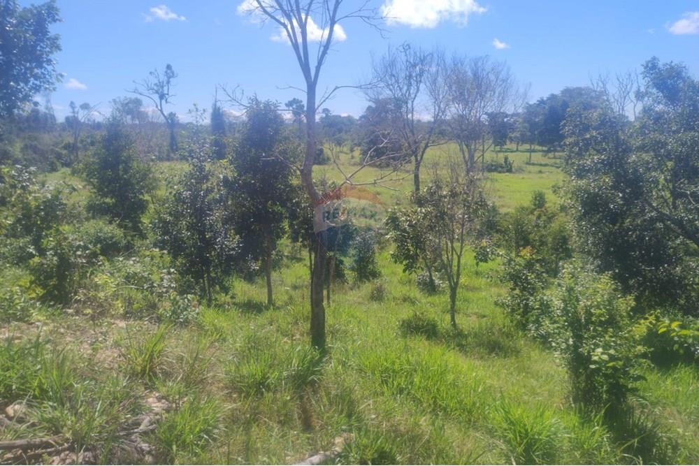 Chácara / Sítio / Fazenda - Venda - Confresa , Mato Grosso - IMG-20250926-WA0034 - Copia.jpg - 720641046-11