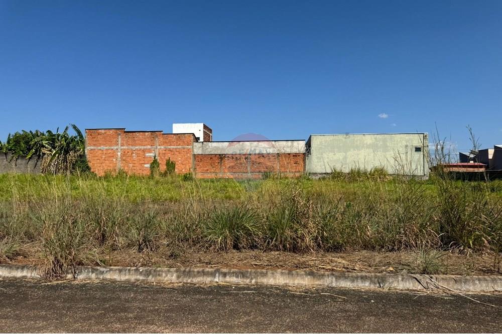 Terreno - Venda - Araguaína , Tocantins - WhatsApp Image 2024-08-22 at 17.40.38 (4).jpeg - 720991002-163